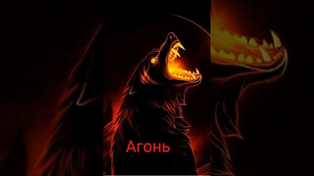 Абними не атпускай