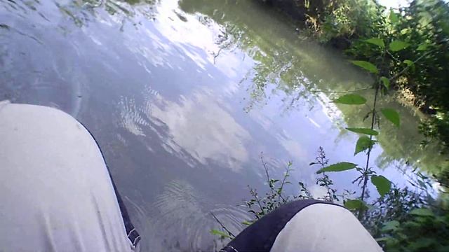 Подтверждение слов Сергея  о щуке .