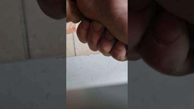 Metal Natyral Ishkrir Nga Unë O Platin O Rhodium Alumin Jo.