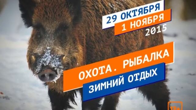 Охота и рыбалка