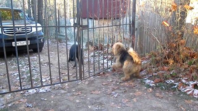 Я здесь, Инезилья, Я здесь под окном.