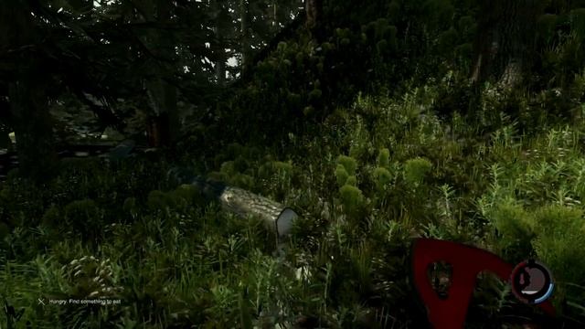 The Forest Log Holder'e Log Nasıl Konur !