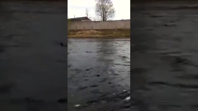 Video 0 02 04 8ece9de32a32967eb68fb22154f3c5ff9e52871cbbd329692d4b75ab311cfe20 V