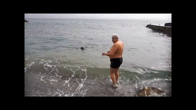 B55ae6b9c20e32ed09f7be193ad799dd