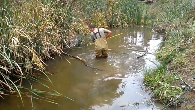 C2e168fa113b4d9624cf81ee01fbe50b