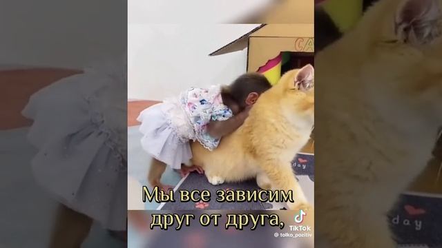 чилавек сабаке друг💖