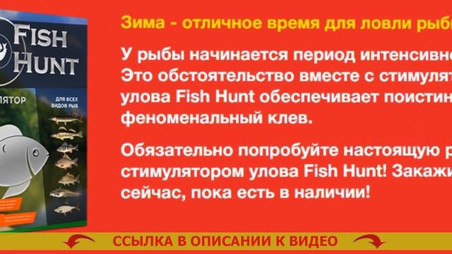❌ Активатор клева для сазана 👌 Купить прикормку баунти 🚫