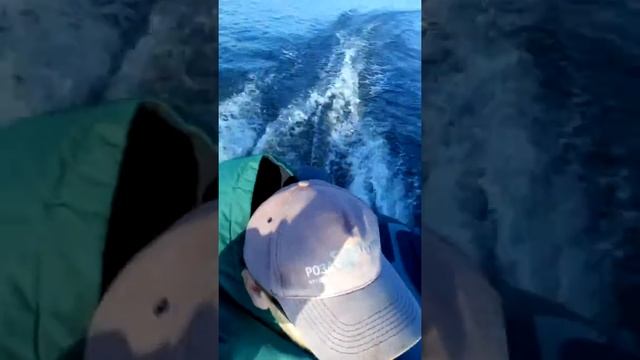 Тохатсу,тольятти.первая катанга 2019