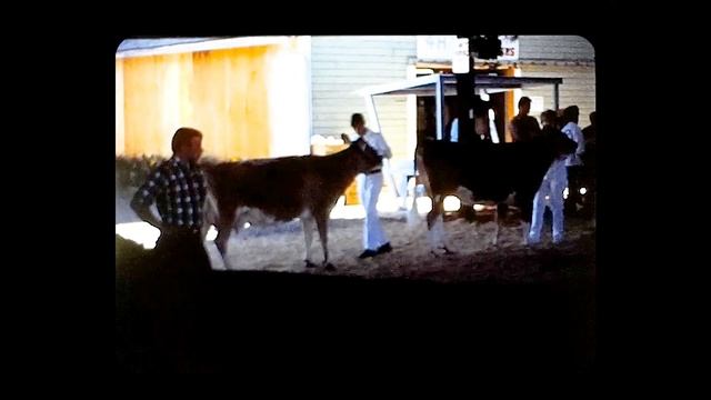 Fitting And Showing Reel 3