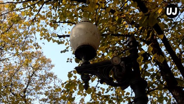 Где же ты, Мастер?