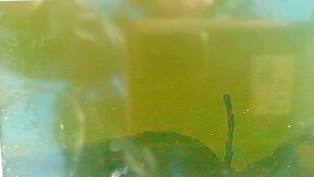 рыбалка с подводной камерой