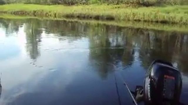 просто лагерь на  природе)))