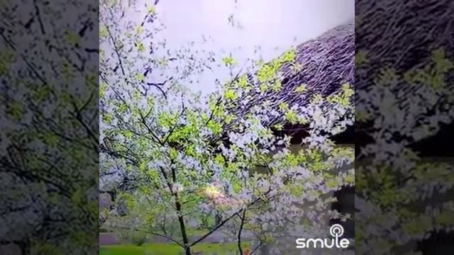 F64fe366eeed93e25605015d3d7571a1