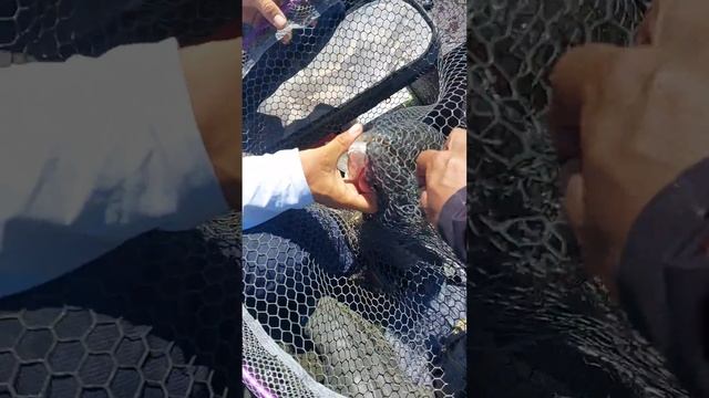 C304065fb4d240dde8000e86237b01a1