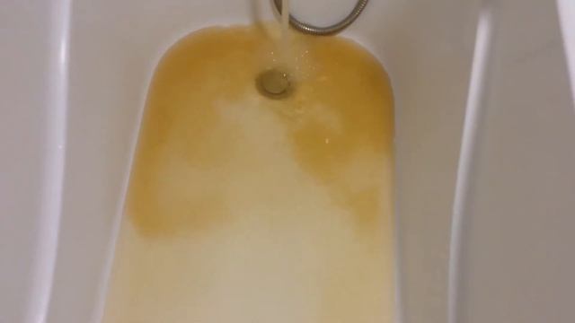 Вода Верея. с/п Верейское, Орехово-Зуевский район 16.05.2017