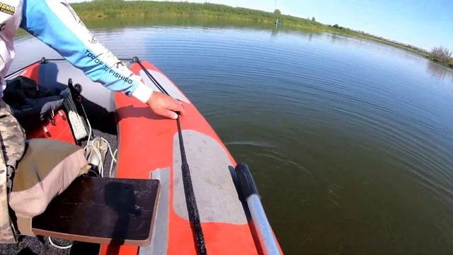 Пруд_щука_Окунь_Labuteny_25_7_2020