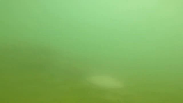 GOPR0482