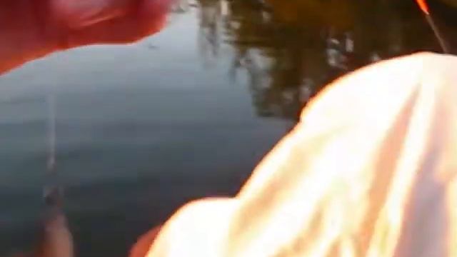 Окунь на джиг в июле 2020