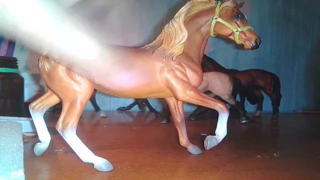 Новинки №2 | Недоуздки (для шляйх)