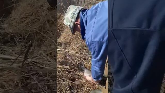 Как мы ловили рыбу и клещей))) апрель 2023