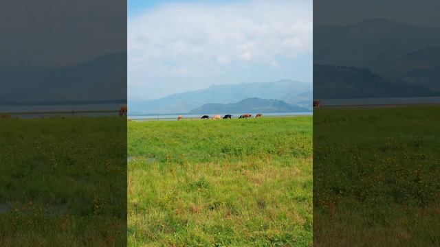 Yokohama / Travel With Geolandar / Kazakhstan Beautiful Destinantion / Video By Adilet Rakhmetolla