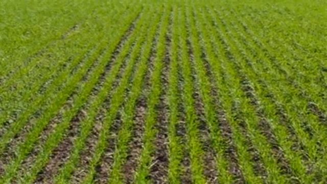 A31f6e327c82ca158e1958f38a6905a2