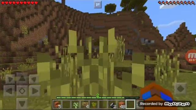 Выживание на острове