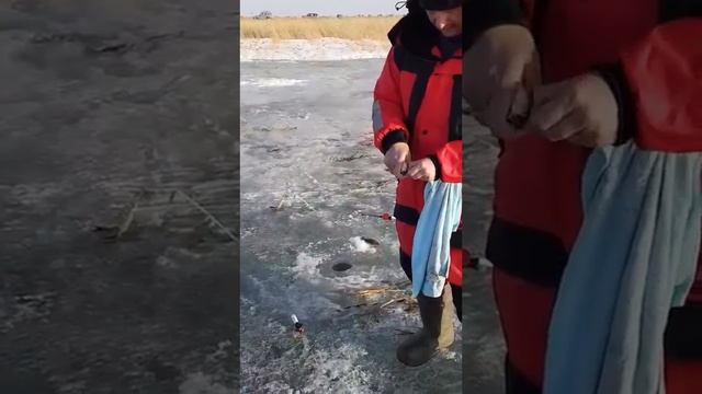 5f62dc7e51fc9a0f48b0e16abfc9b35f