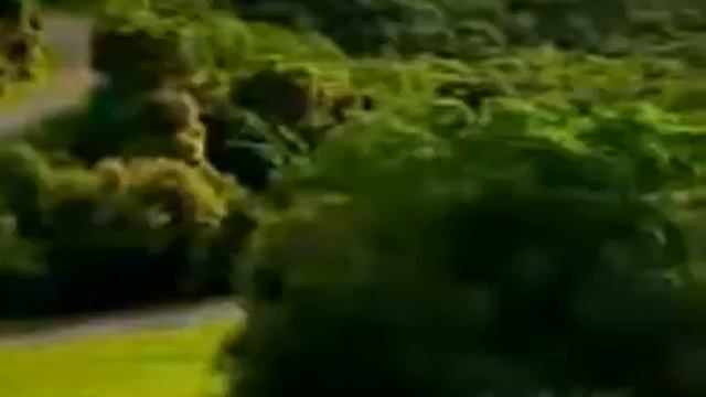 1729d85d721cac8793c082d1457f4ecc