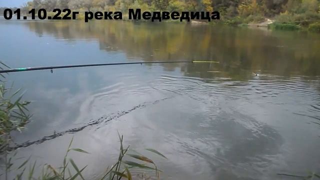Рыбалка на реке Медведица