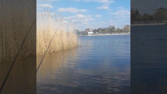 Фидерная рыбалка весной