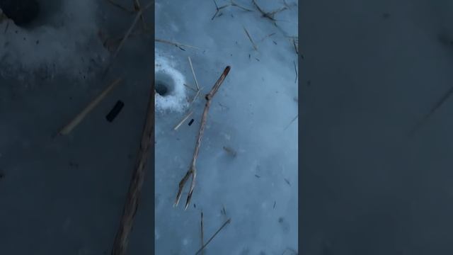 Продолжение ЩУКА ЕСТЬ !!!