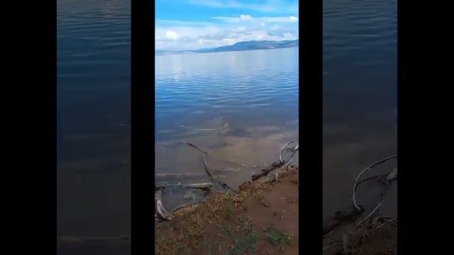 Выходные с семьёй, отдыхаем, ловим леща на знаменском заливе))))