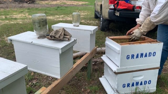 Busy Day In The Bee Yard! Marking Queens, Moving Nucs To Deep Boxes.