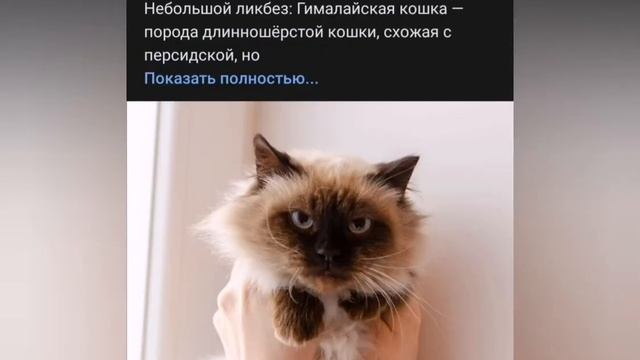 ВСЕМ НА СВЕТЕ НУЖЕН ДОМ