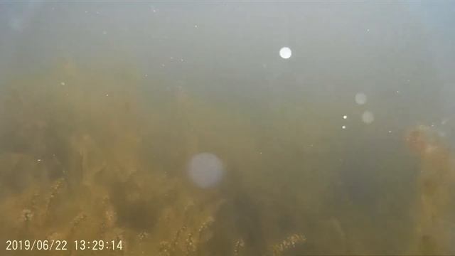 22.06.2019 Карьеры в Галыгино  подводные виды