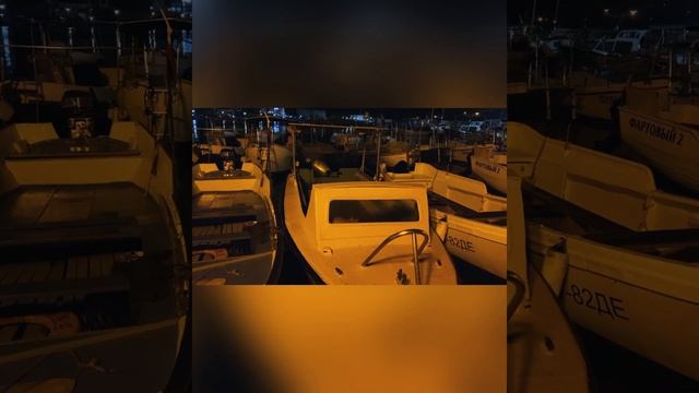 Романтика Балаклавы, Крым💗🌊 Работают вахтовым методом: днём чайки, вечером кошки😽🐧