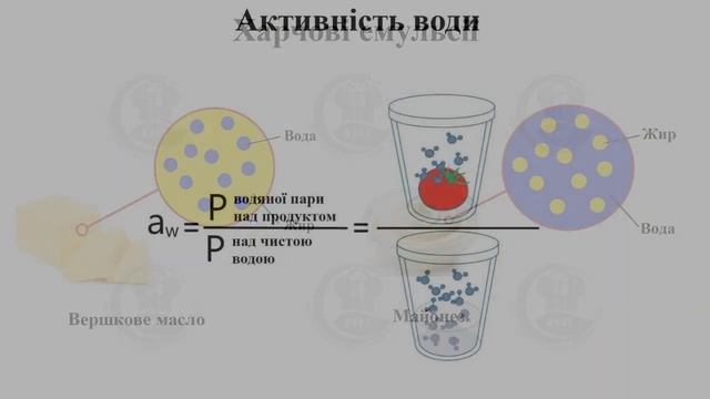 Відкрита лекція кандидата технічних наук, старшого викладача Устименка Ігоря Миколайовича
