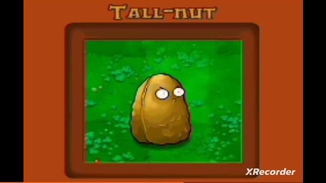 SVID_20241024_194931_1.mp4