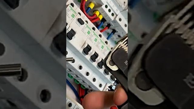 99f50707d797bd3b2ee75d422a0be5ac