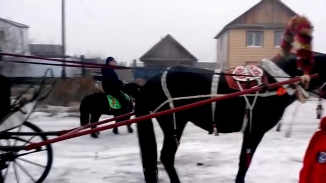 2e5bc64d1a95e7e644fd0a342e2c394e