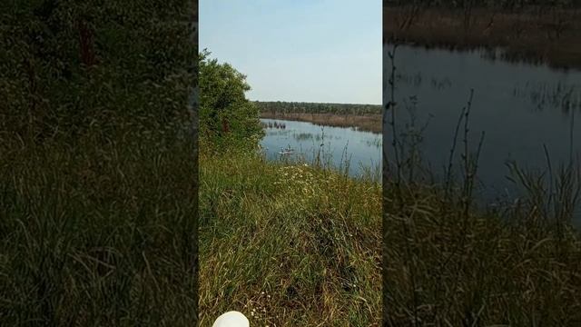 #sup#спорт#ендуро@движениевперед#васюринская#кубань