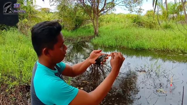 Kaget‼️ Mancing Ikan Betok Ala Tegek Dibawah Rimbunan Rumput Air - Zand Fishing