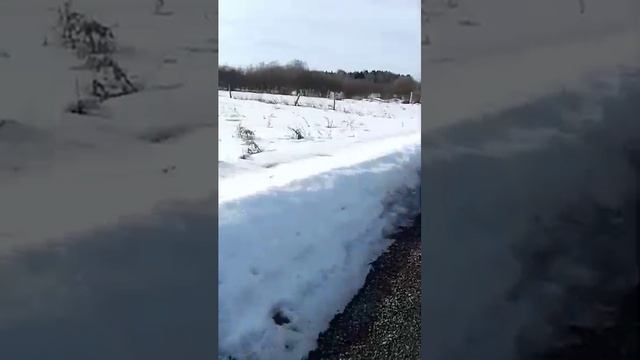 Продажа земельного участка д. Чепчиха, СНТ Лесное