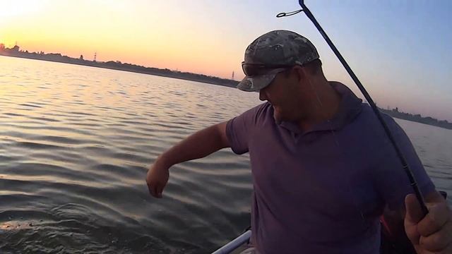 Красноперый полосач