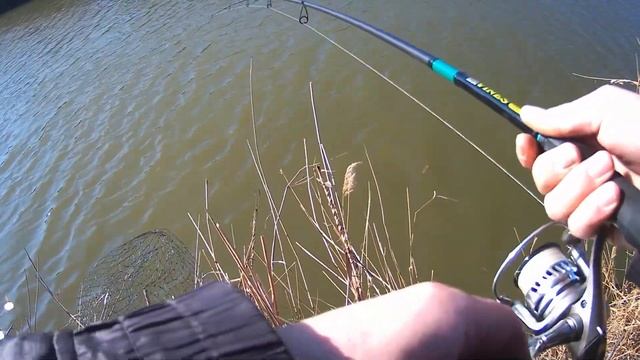 судак на спиннинг