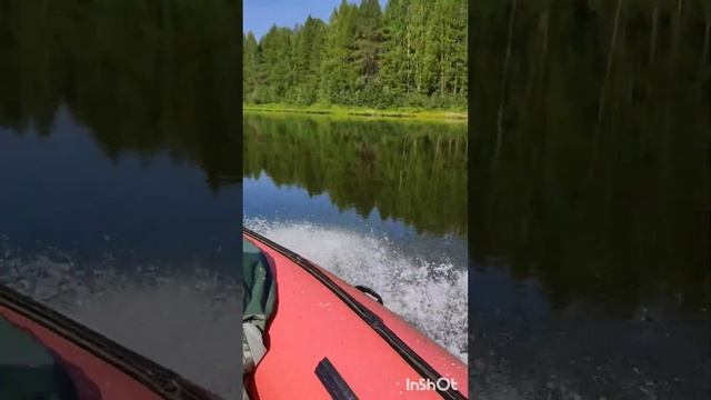 Охотхозяйство 