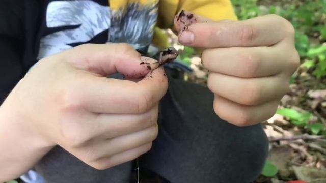 Рыбалка в Лаго-Наки. Мы поймали кучу рыбы.