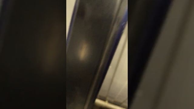 Экологический дизайн