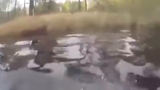 36ea8feb4c63381a97d25a7b2aa8bd18